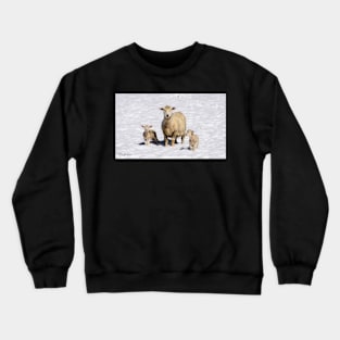 FROZEN LAMBS Crewneck Sweatshirt